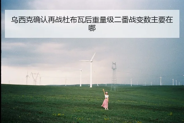 乌西克确认再战杜布瓦后重量级二番战变数主要在哪