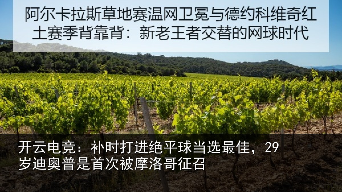 开云电竞:补时相关情况佳岁相关情况洛哥征召